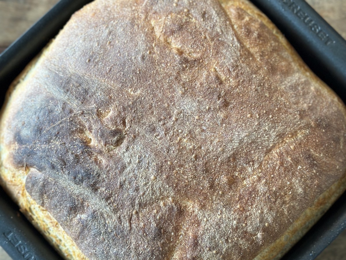 Dyrvigs Surdejsbrød 1