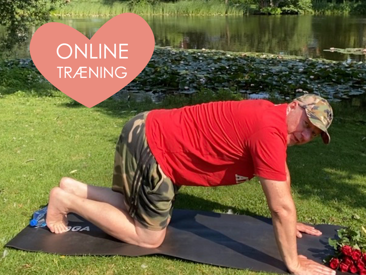 Dyrvig Daily Træning&nbsp;4