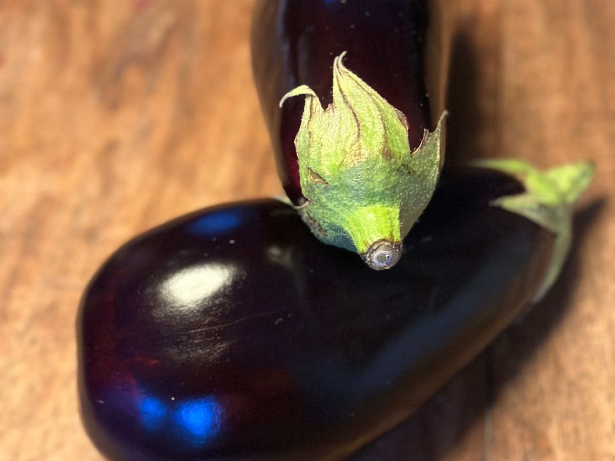 Aubergine