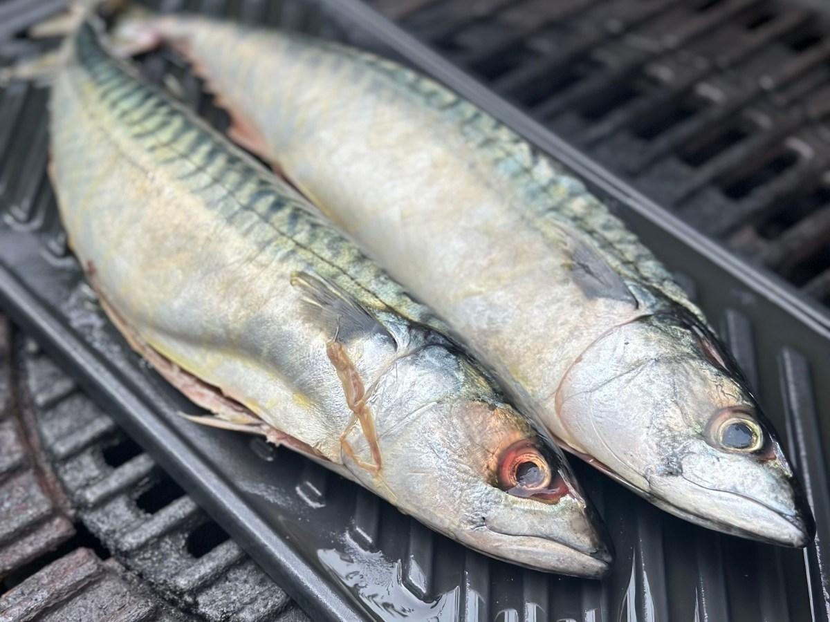 Grillet Makrel med&nbsp;kartoffelsalat