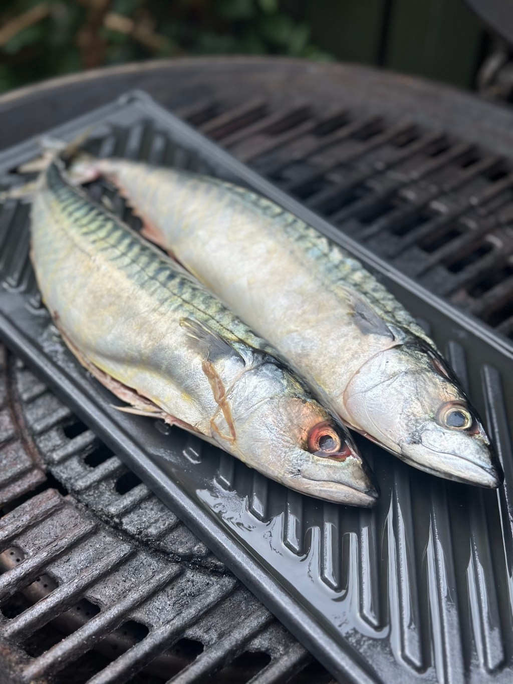 Grillet Makrel med&nbsp;kartoffelsalat