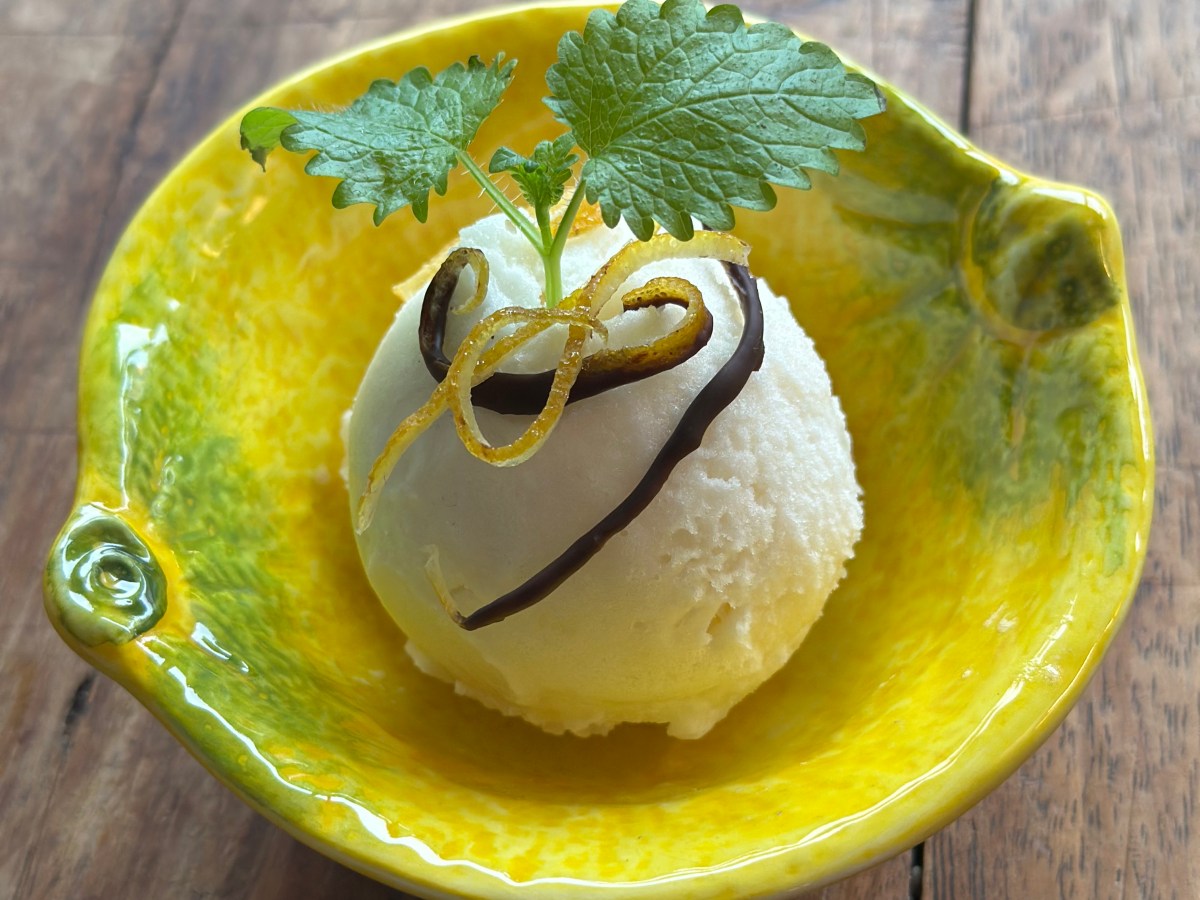 Citron Yuzu sorbet