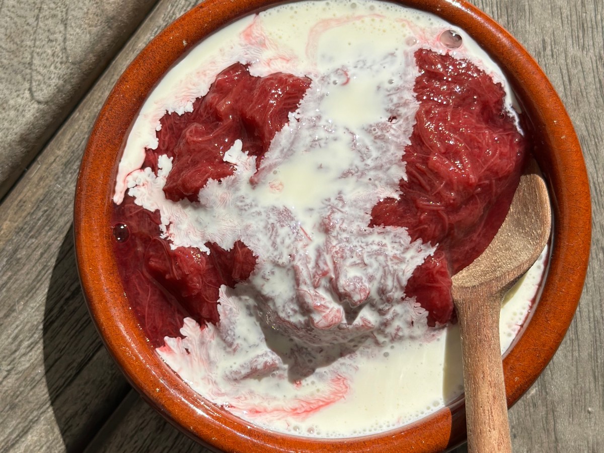 Rabarber grød og&nbsp;kompot