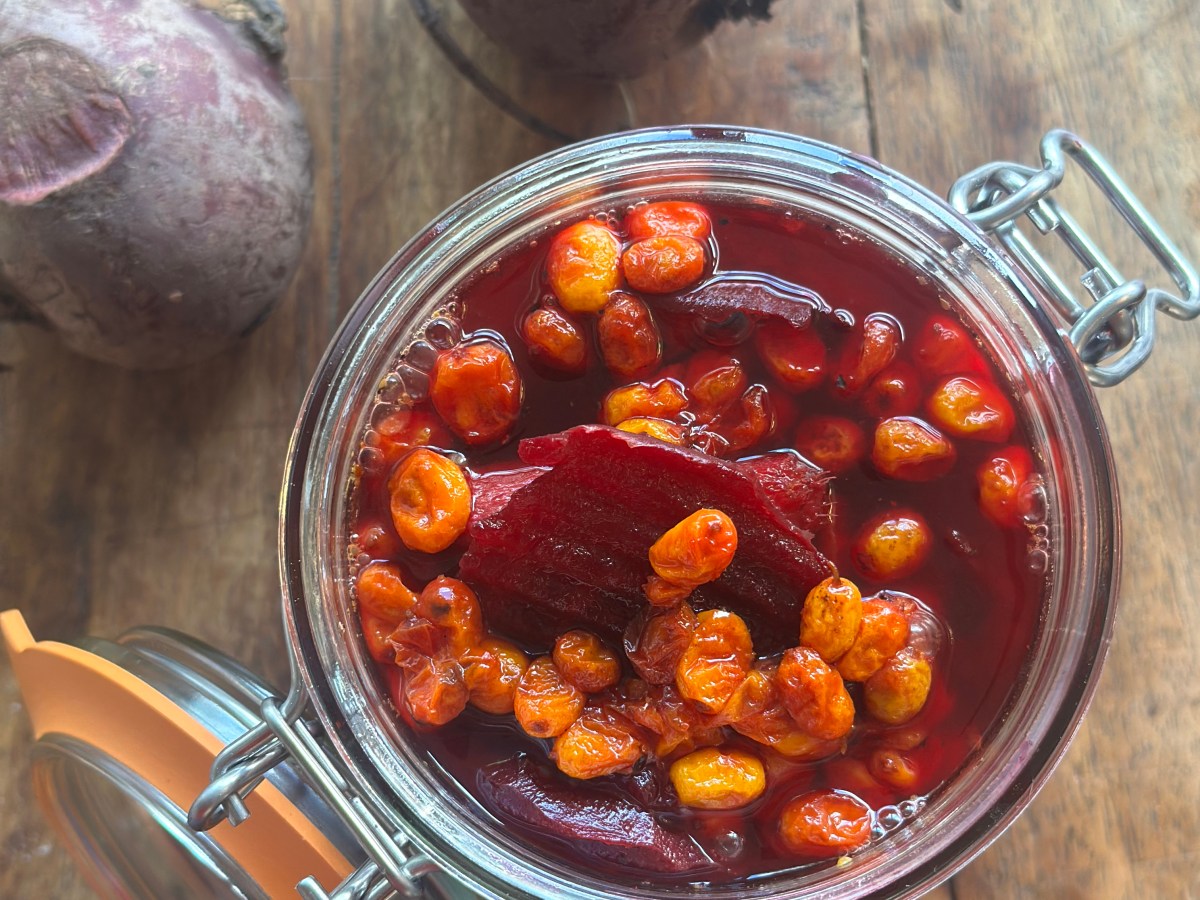 Syltede Rødbeder med&nbsp;havtorn