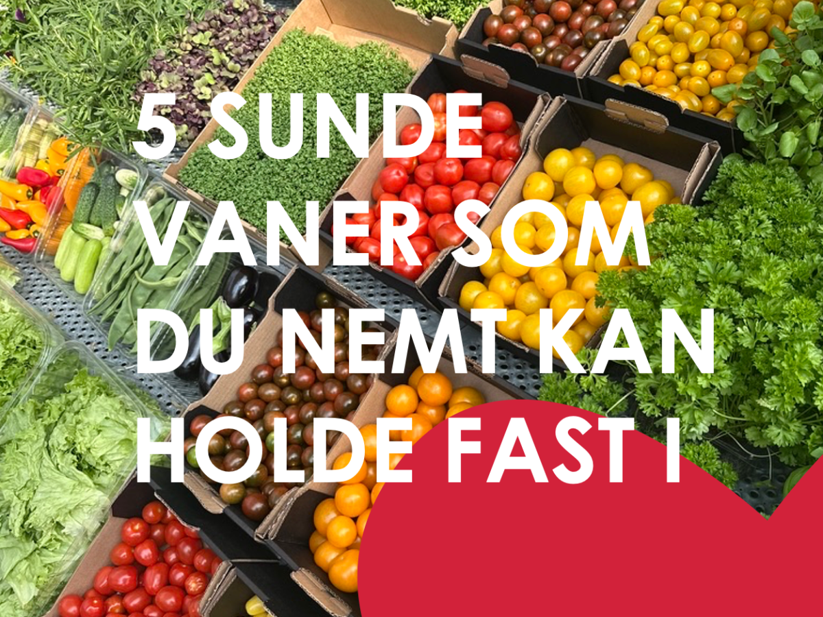 5 sunde vaner, som du nemt kan&nbsp;holde