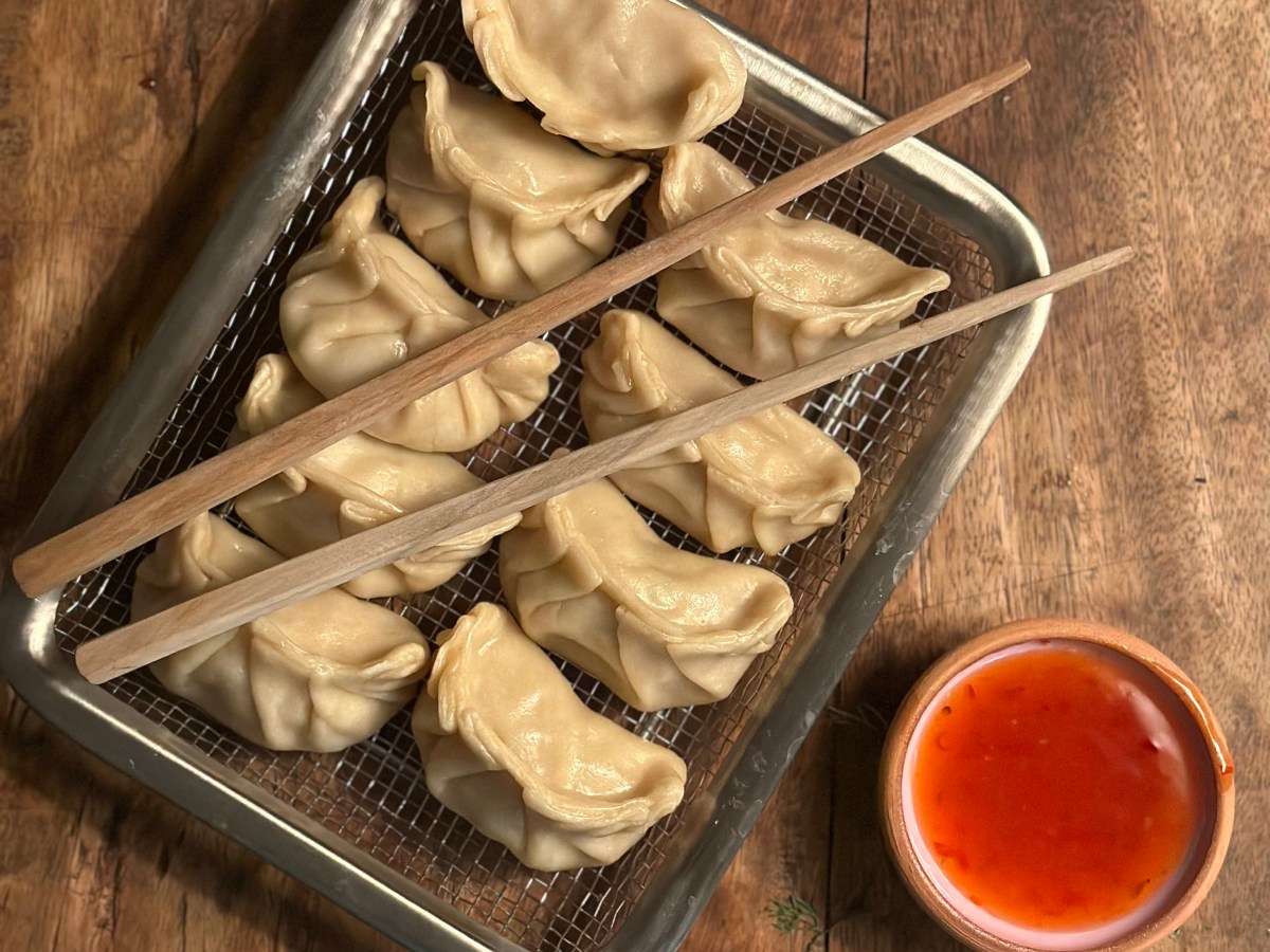 Dumplings | Gyoza